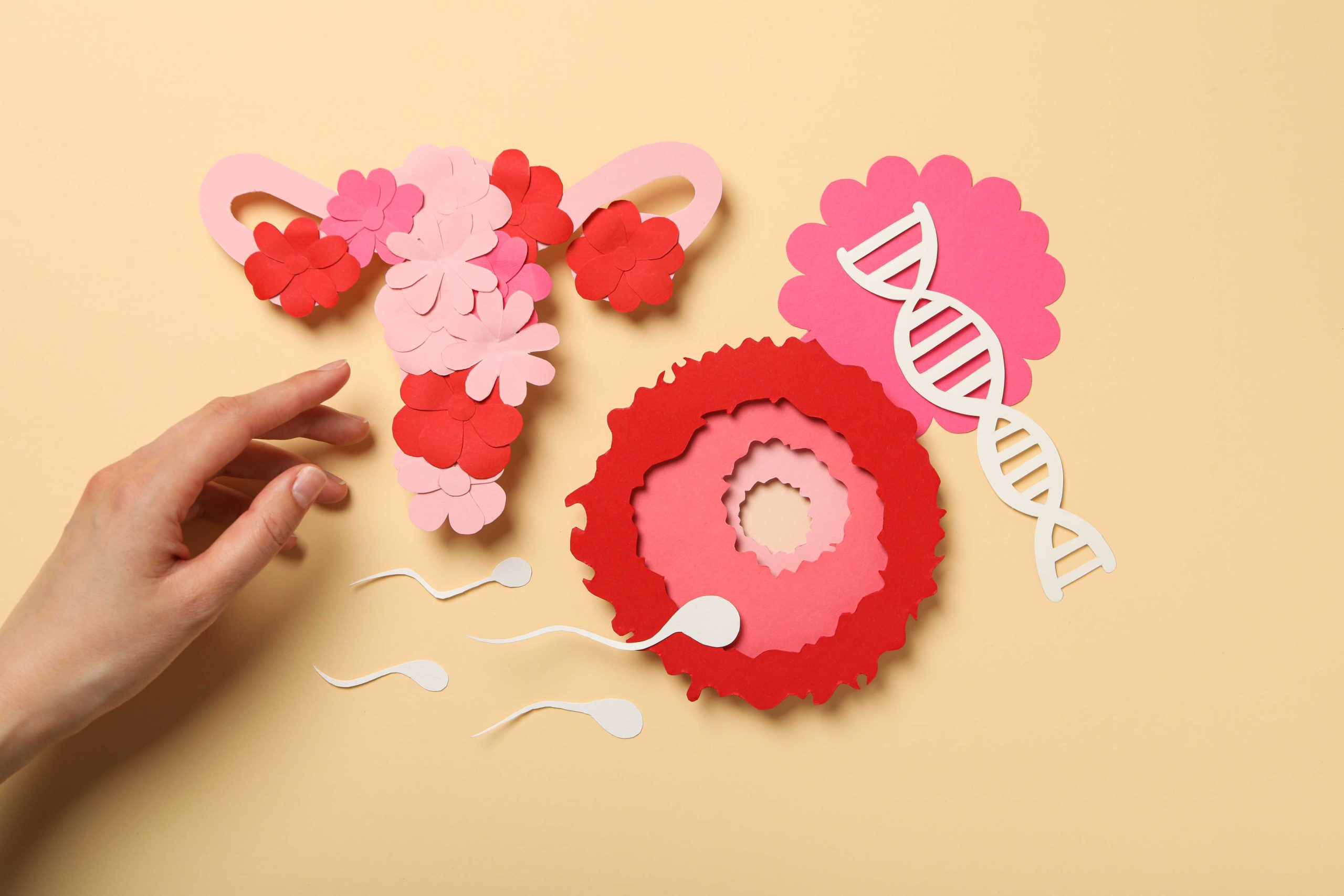 How Hormones Quietly Influence Your Skin, Hair, and Body