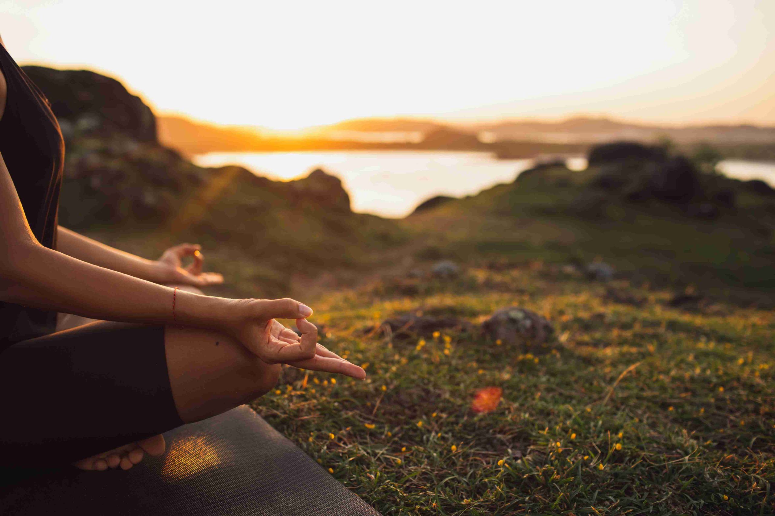 May Wellness Roundup: Best Herbal Health Tips