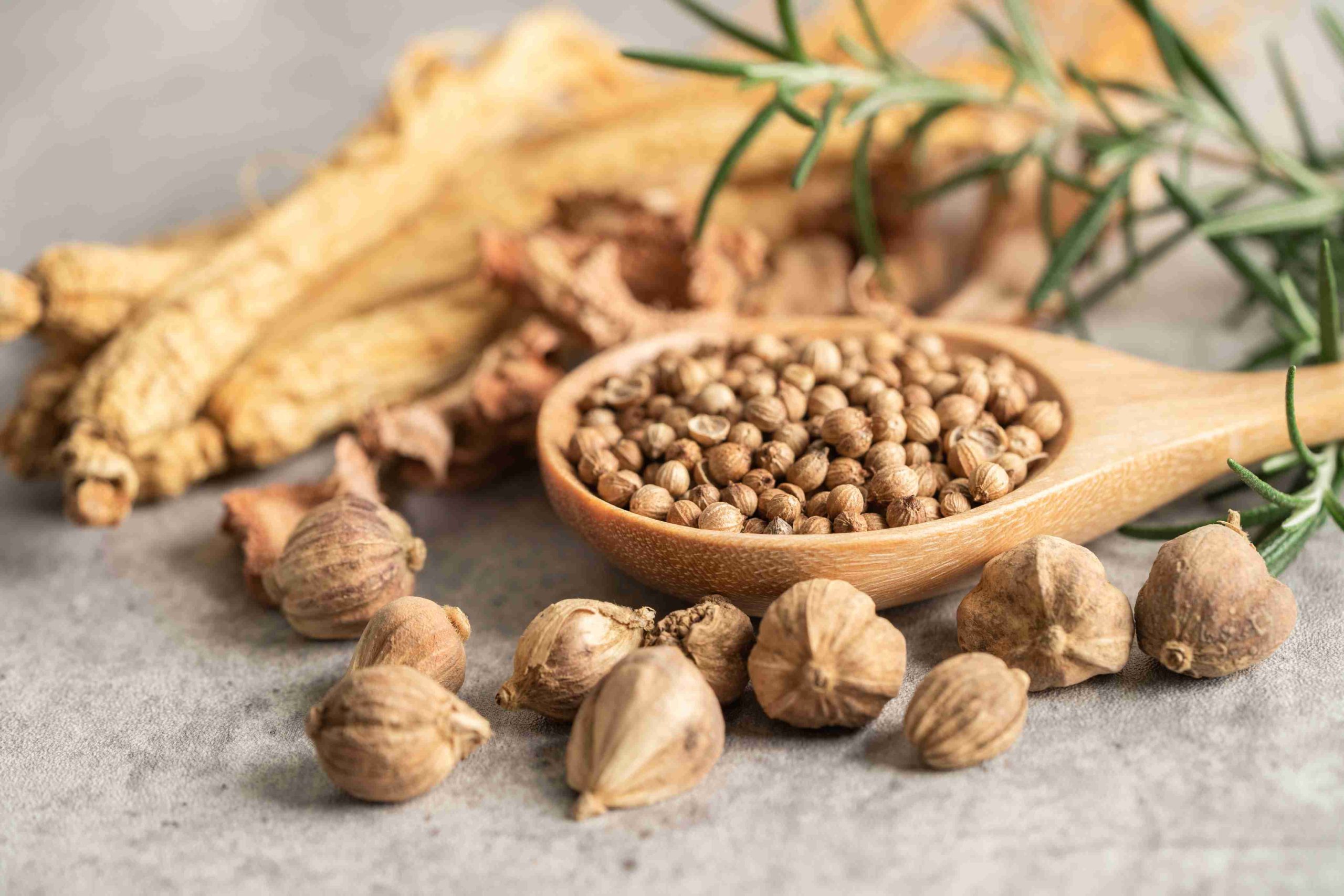 Adaptogenic Herbs That Actually Work for Daily Stress and Fatigue