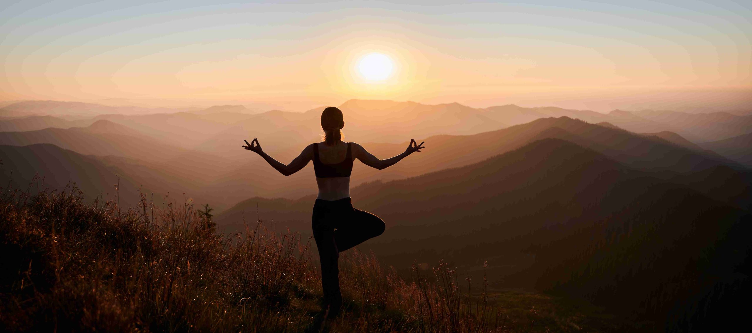 Butea Superba Dosage Guide for Daily Wellness