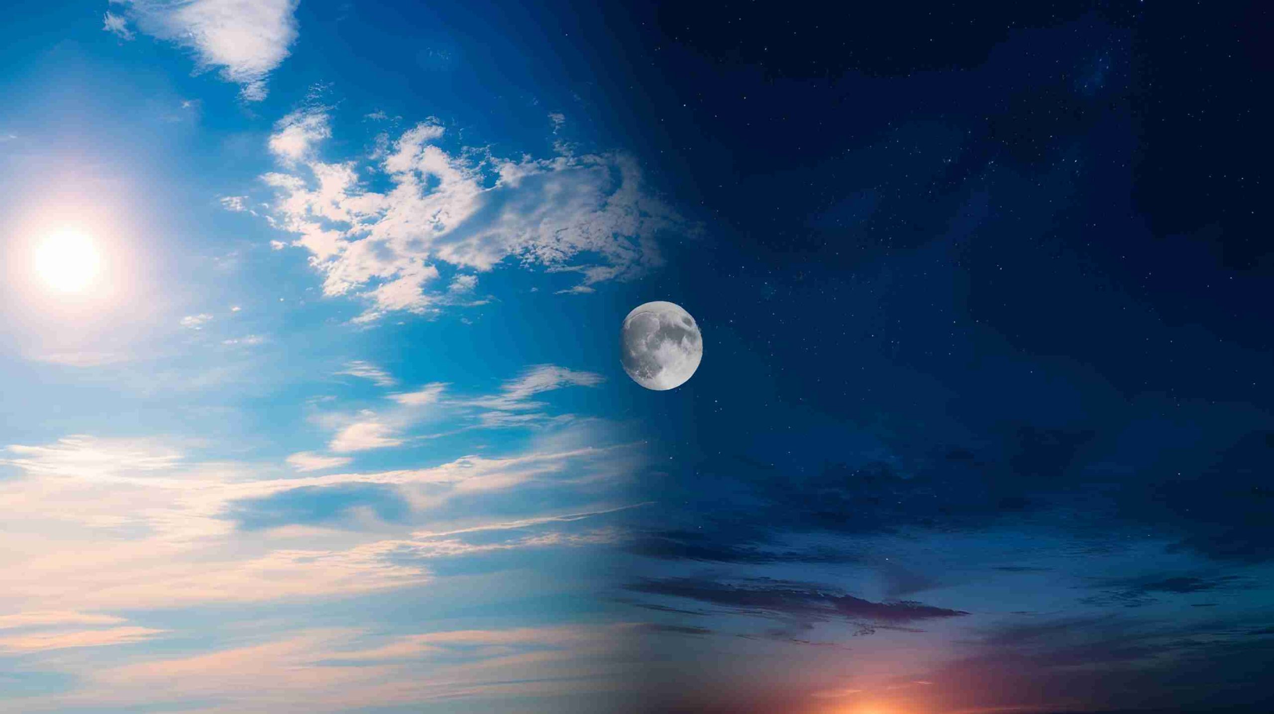 Morning vs Night: When Is the Best Time to Take Eurycoma Longifolia?