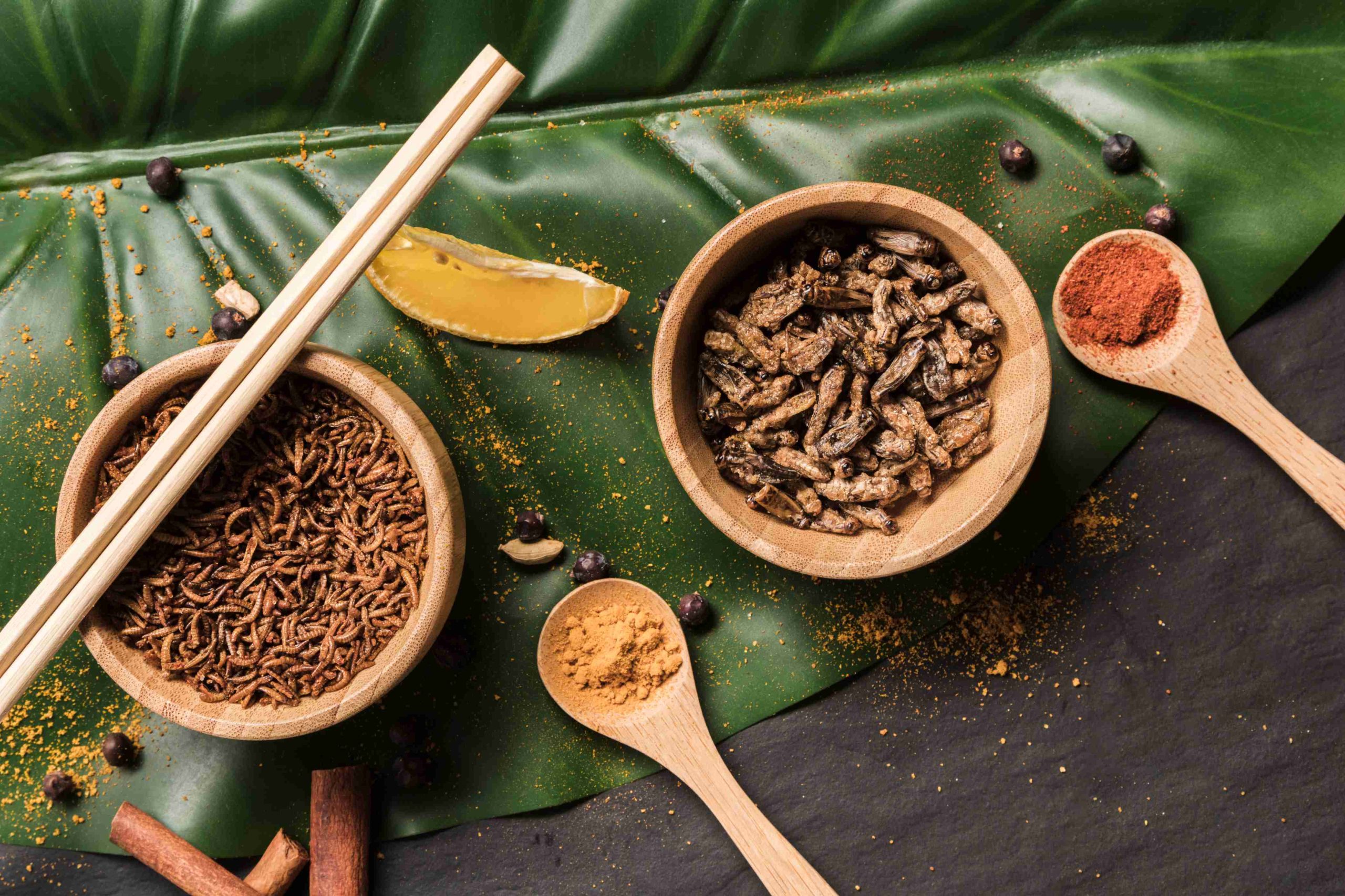 Why Adaptogenic Herbs Are Becoming Part of Daily Wellness Routines