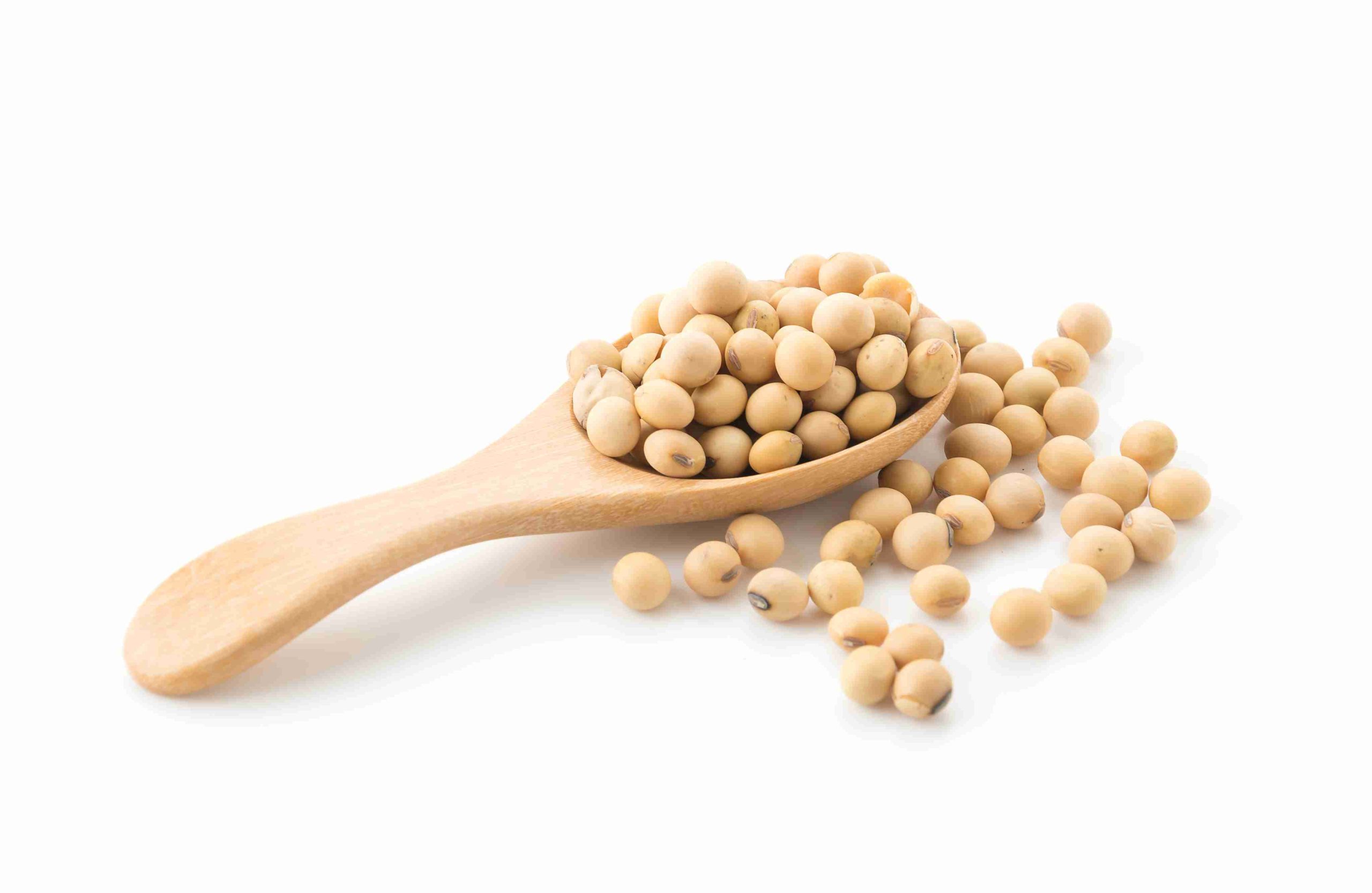 Phytoestrogens and Men: Should You Be Concerned?